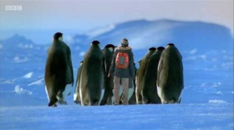 马达加斯加的企鹅经典台词_游戏取名字大全网