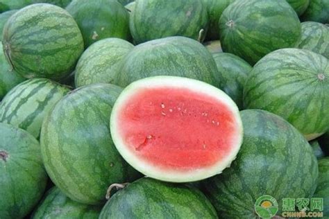 新发地市场蜜童西瓜的本周批发价格上涨 - 水果行情 - 绿果网