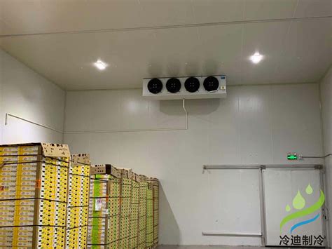 冷冻库设计安装_上海雪艺制冷科技发展有限公司