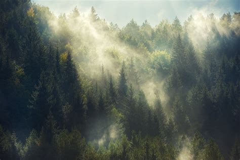 如何拍摄美妙的三清山雾景？-三清山旅游网