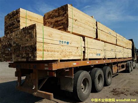 赣州市 建筑木方密度 木方批发工程木方 松木价格多少钱一方