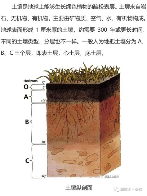 土壤分层有关知识——水土保持表土剥离学习参考 - 土木在线