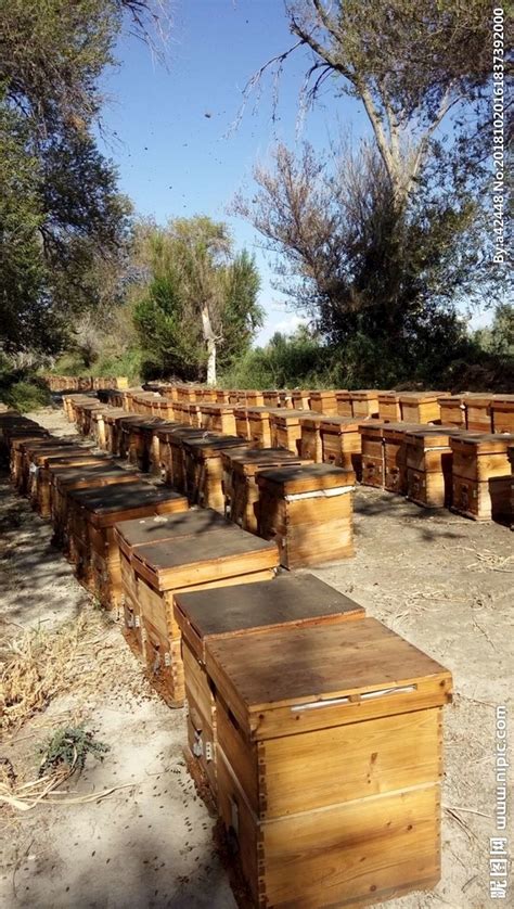 鑫蜂园源头蜂场农家自产休闲食品现货 500克盒装蜂窝蜜荆条蜂巢蜜-阿里巴巴