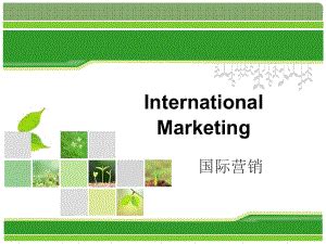 第一章 国际市场营销概述_word文档在线阅读与下载_免费文档