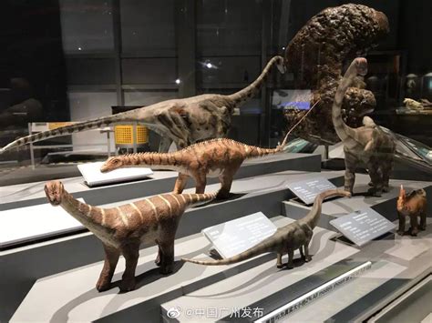 “世界最大恐龙王国2012”大型展览在日本开幕 - 化石网
