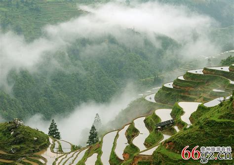 花漫山村-贵州旅游在线