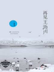 再见王沥川（《沥川往事》续集）(施定柔)全本在线阅读-起点中文网官方正版