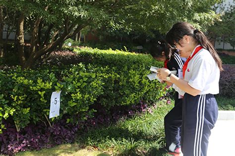 小角落，大自然——郑州市实验幼儿园开展植物角观摩评比活动--新闻中心