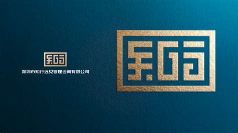 广东深圳知行远见资讯管理品牌LOGO设计 - 特创易