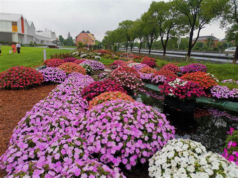 2015第十七届中国国际花卉园艺展览会
