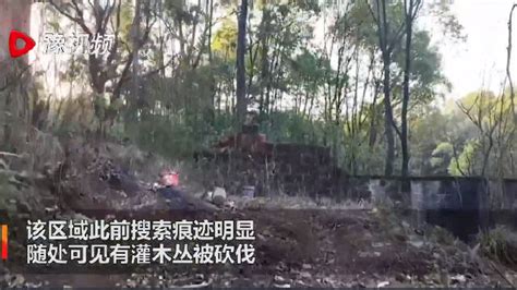 胡鑫宇遗体发现地随处可见灌木丛被砍伐 搜索痕迹明显(含视频)_手机新浪网