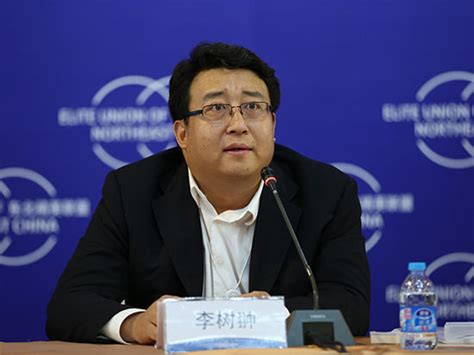 赛迪顾问总裁李树翀：反思新能源汽车产业战略_电池网