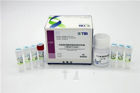 B族链球菌核酸检测试剂盒（荧光PCR法）生产厂家_泰普_招商/代理_环球医疗器械网