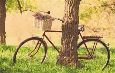 梦见自行车意味着什么（揭秘骑车梦的象征意义） - 恋爱号