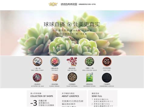 超详细多肉植物搭配攻略_那花园花卉网(nahuayuan.com):花卉第一网站!爱花人的花园!