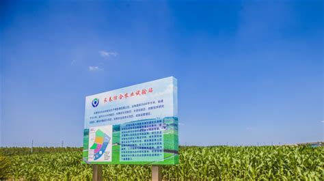 玉米苗期深松施肥及“长春模式”推广会在榆树市召开-中国农业机械化信息网