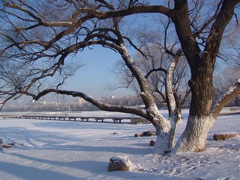 长春南湖公园，全国第二大城市公园，初冬时的景色依然美如画|南湖|南湖公园|景色_新浪新闻