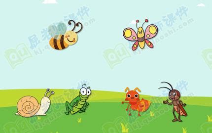 小班语言活动教案《一只小蜜蜂》含PPT课件_屈老师