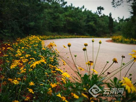 马龙区沈家山森林公园在列！云南新增5个省级生态文明教育基地 _www.isenlin.cn