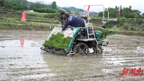 延寿16000亩有机水稻插秧开启“无人作业”模式