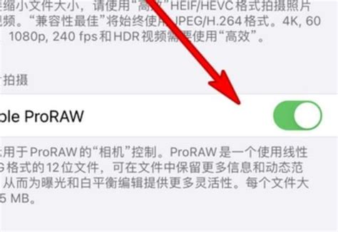 raw格式怎么打开 raw格式文件用什么软件打开 - 系统之家