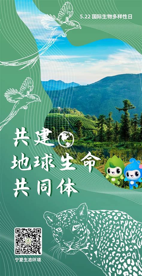 宁夏回族自治区生态环境厅发布2022年国际生物多样性日宣传海报-宁夏新闻网