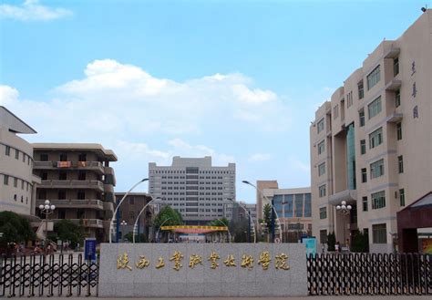 陕西职业技术学院2021高考录取通知书查询入口