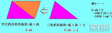 中考数学《三角形》知识点：三角形的面积公式和性质