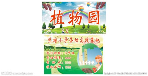 校园植物辨认比赛报道 - 内容 - 上海市紫阳中学