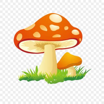 手绘小清新蘑菇下载图片素材免费下载 - 觅知网