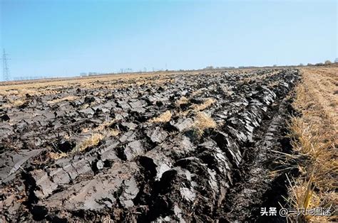 吉林省黑土地保护措施再加力 | 农机新闻网