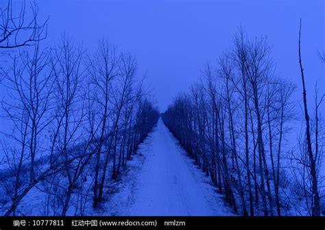 冬季雪景摄影图__自然风景_自然景观_摄影图库_昵图网nipic.com