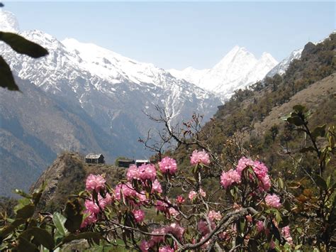 科学网—尼泊尔喜马拉雅山区的自然风光 - 董世魁的博文