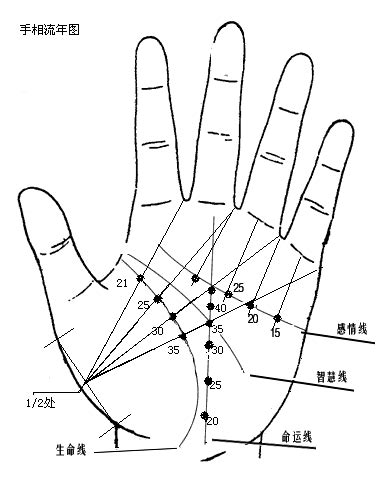 看手相算命_大师解析什么样的手相属于晚婚类型与性格倾向（手相）-风雅颂易学网