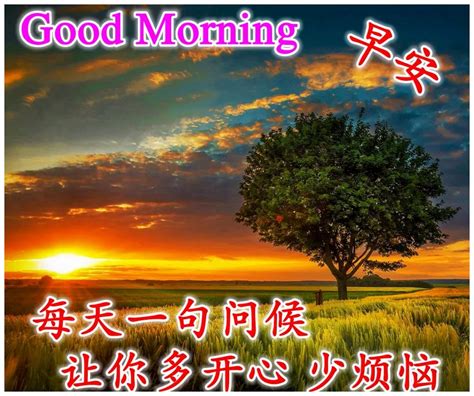 非常漂亮早上好祝福语美图，早晨问候大家早上好阳光暖心|问候|上坡路|心情_新浪新闻