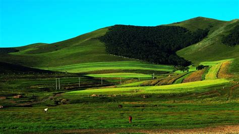 第3名 博大之美:锡林郭勒草原 | 中国国家地理网