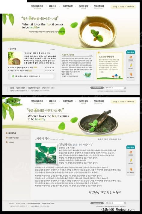 绿茶网站设计模板PSD素材免费下载_红动中国
