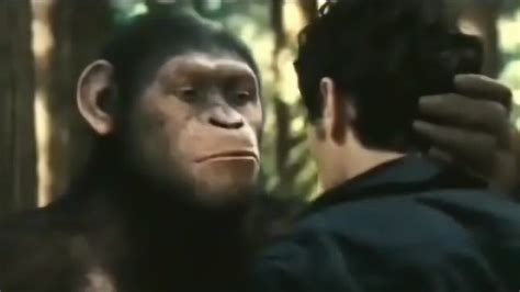 《猩球崛起》：这只猩猩让我想起孙悟空