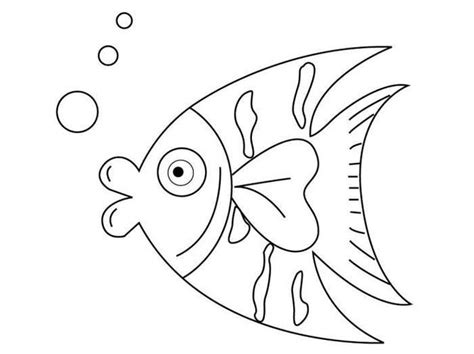 幼儿简笔画热带鱼(幼儿简笔画热带鱼图片) | 抖兔教育