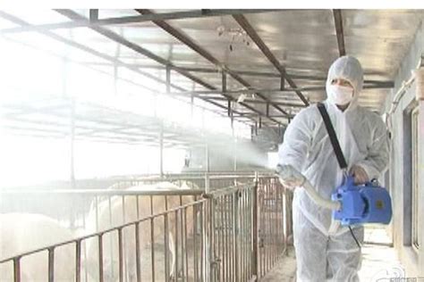 泡沫型清洁消毒剂在养殖环保领域的应用 - 上海牧耘环保科技有限公司