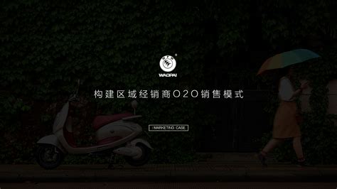 电动车O2O网络营销|武汉品牌营销策划设计广告全案公司