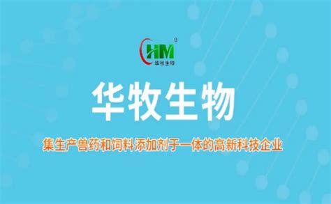 兽药公司宣传三折页PSD素材免费下载_红动中国