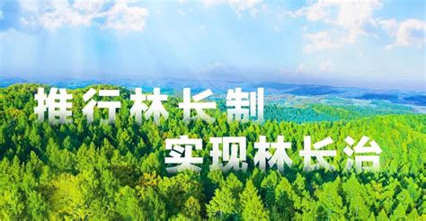 2022年中国龙江森林工业集团公开招聘