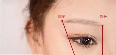 女人的眉形有多少种 眉形的种类和画法