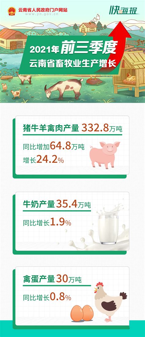 同比增长24.2%！前三季度云南猪牛羊禽肉产量达332.8万吨_行业动态_河南畜牧兽医信息网手机版