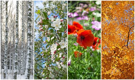 然景象图片-春夏秋冬季节的自然景象素材-高清图片-摄影照片-寻图免费打包下载