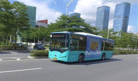 深圳市的8种公交类型一览|线路|巴士|专线_新浪新闻