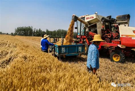 济宁市人民政府 综合要闻 [朝闻天下]在希望的田野上·三夏 全国麦收进度已过六成