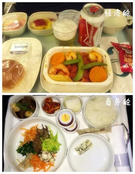 飞机有无餐食怎么查？怎么看飞机是否提供免费餐食_车主指南