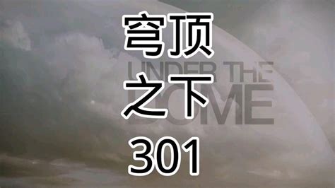 穹顶之下（2013年上海文艺出版社出版的图书）_百度百科